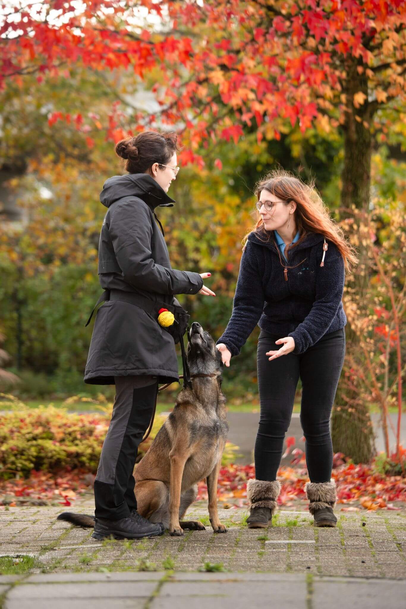 Coaching Traject Coaching-Traject